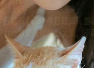“51今日吃瓜”重磅分享：那些fun到无法自拔的大瓜，不吃绝对要后悔哦！