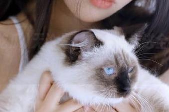 无论是甜是酸，走进全网吃瓜，保证你永不迷路！