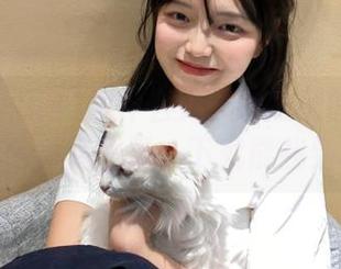 为什么天天吃瓜网的瓜总是特别甜？难道登录一下就能找到秘诀？