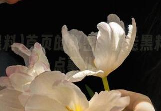 首页的秘密：暴走黑料背后那点事儿！