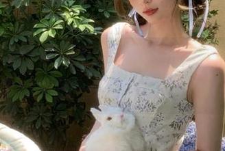 在黑哥冲料app上，玩偶竟然成了吃瓜界的一员！都发生了什么？