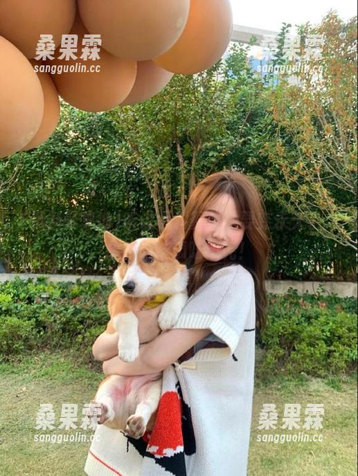 听说黑料聚集地要变永久了,总感觉这瓜吃不完!-桑果霖 听说黑料聚集地要变永久了,总感觉这瓜吃不完!-桑果霖
